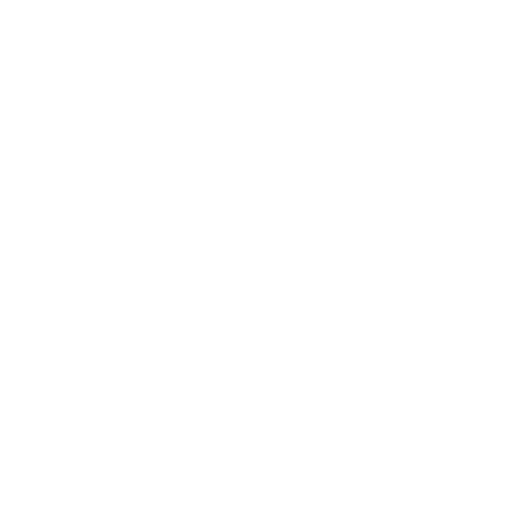 CV